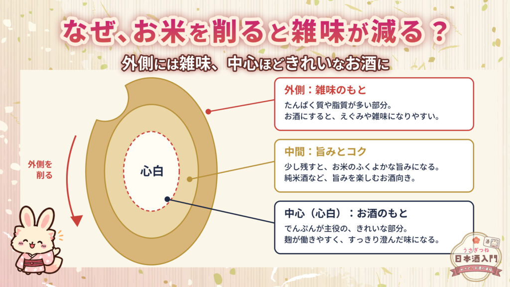 なぜお米を削ると雑味が減るのか?外側には雑味、中心ほどきれいなお酒になります